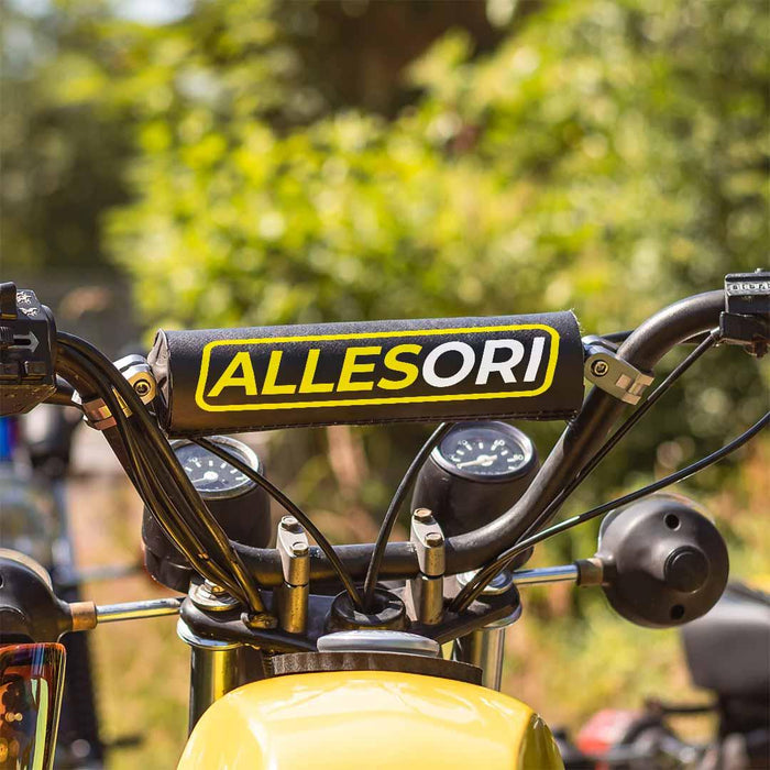 Lenkerpolster AllesOri